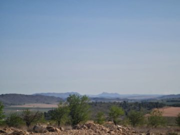 d67155f061151d67155f0611563
