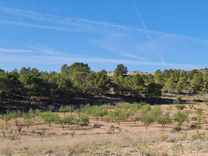 Image No.2-Land for sale
