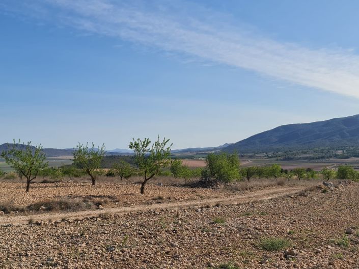 Image No.7-Land for sale