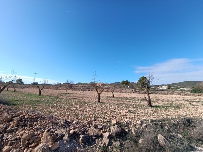 Image No.4-2 Bed Property for sale