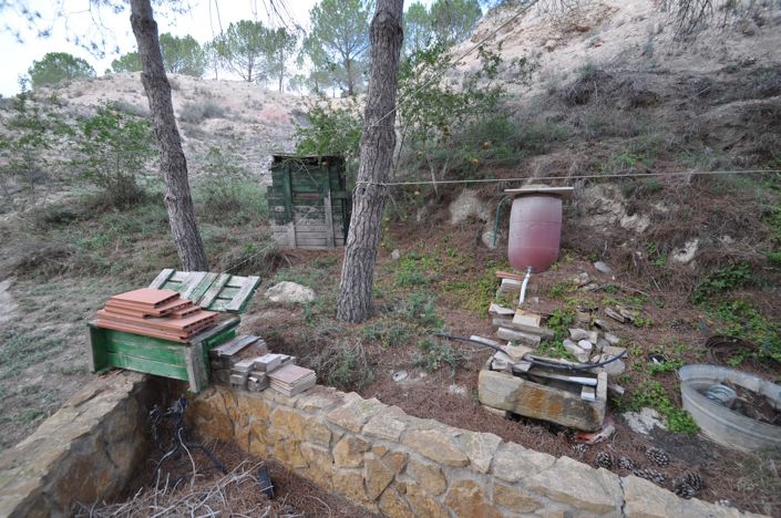 Image No.23-Maison de 4 chambres à vendre à Pinoso