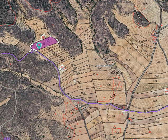 Image No.2-Terre à vendre à Pinoso