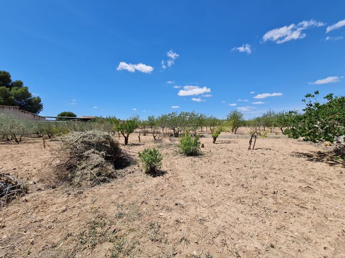 Image No.23-5 Bed Country House for sale