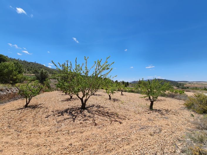 Image No.24-5 Bed Country House for sale