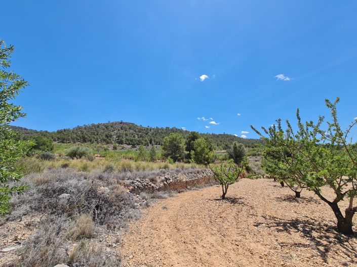 Image No.25-5 Bed Country House for sale