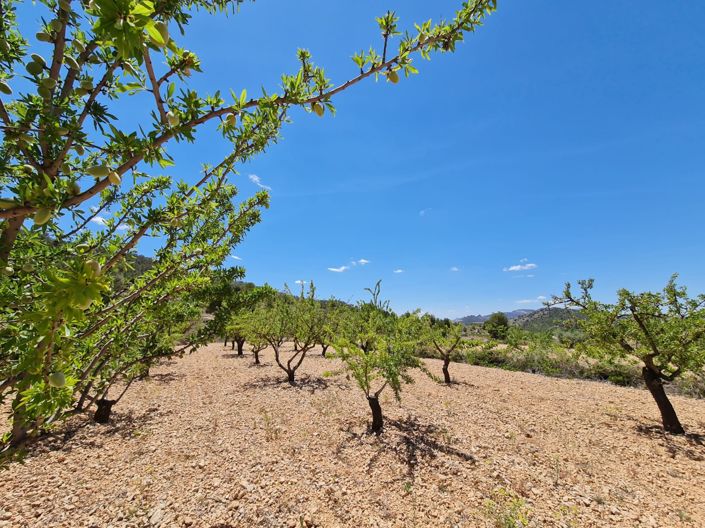 Image No.26-5 Bed Country House for sale