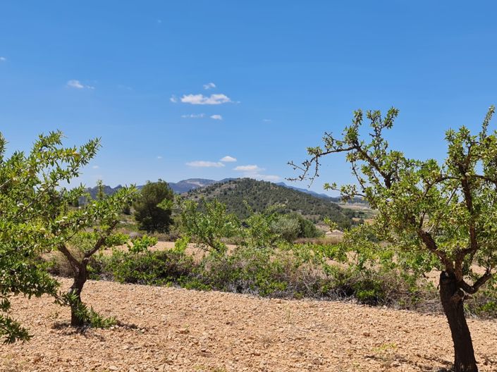 Image No.27-5 Bed Country House for sale