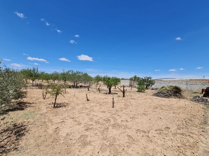 Image No.28-5 Bed Country House for sale