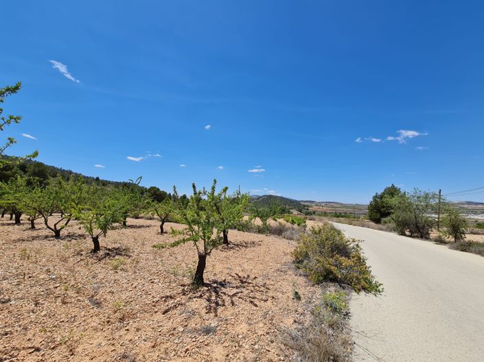 Image No.29-5 Bed Country House for sale