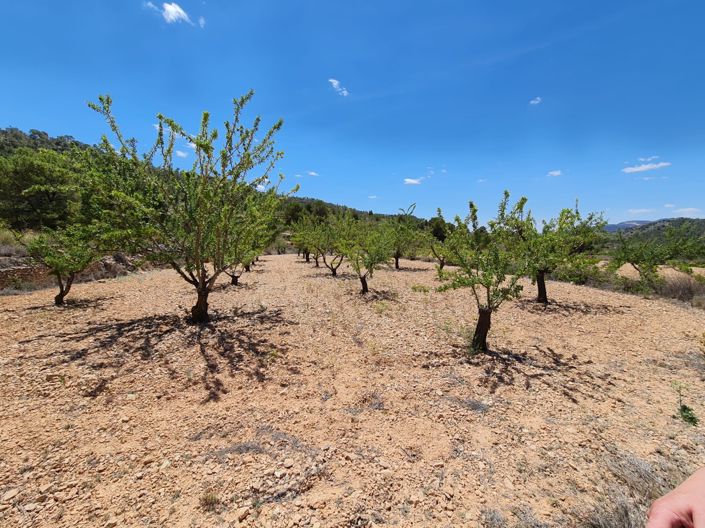 Image No.31-5 Bed Country House for sale