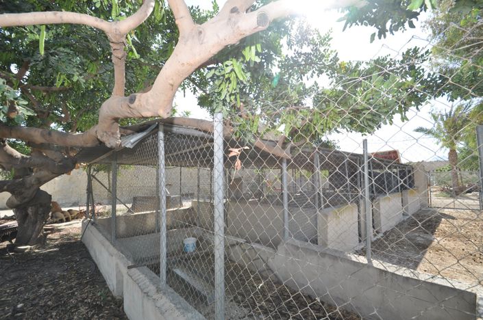 Image No.34-4 Bed Commercial for sale