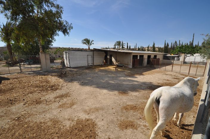 Image No.35-4 Bed Commercial for sale