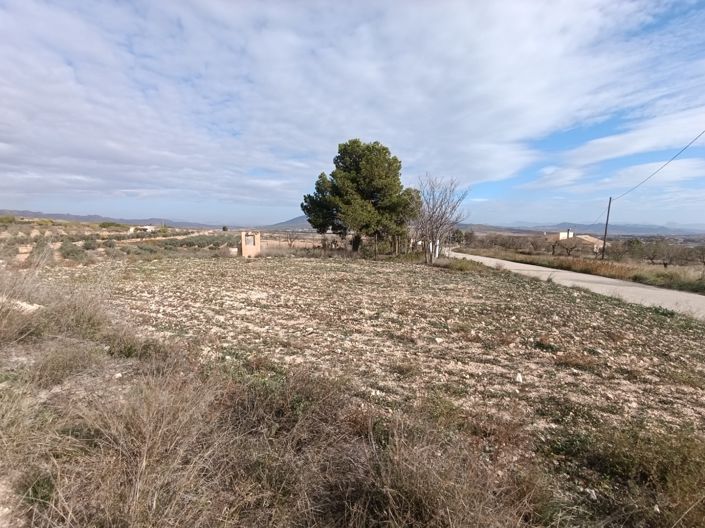 Image No.10-4 Bed Townhouse for sale