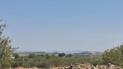 o1j2udniibuhsi0fla316dq1tj91s