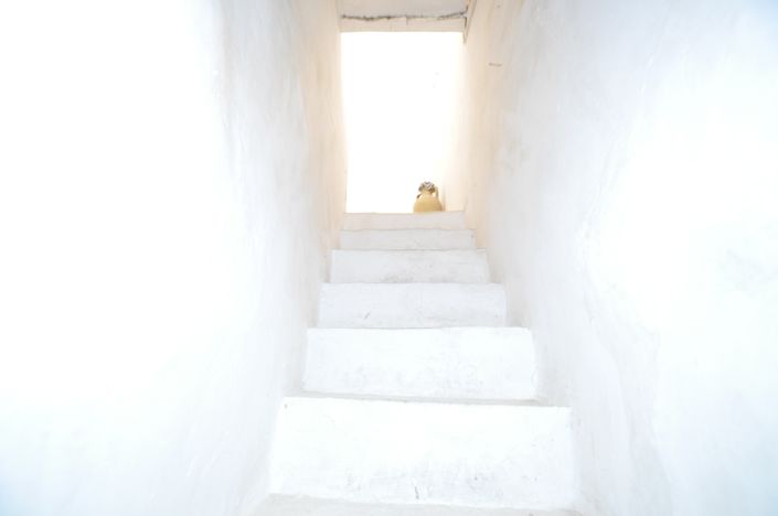 Image No.10-Maison de 4 chambres à vendre à La Zarza