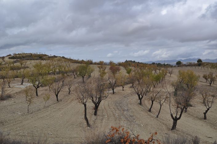 Image No.1-Land for sale