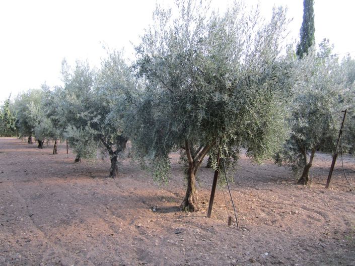 Image No.37-4 Bed Villa for sale