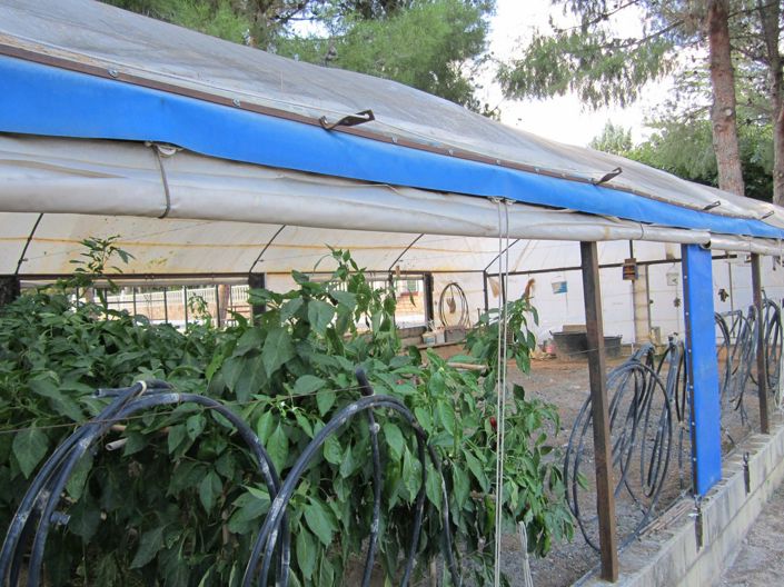 Image No.38-4 Bed Villa for sale