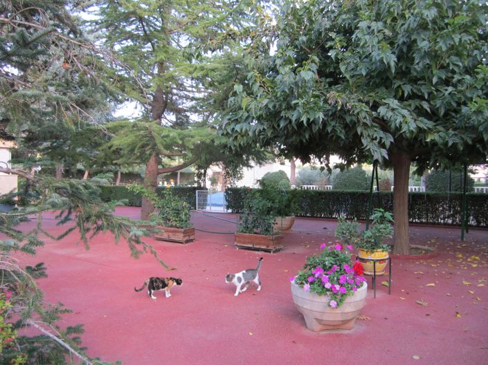 Image No.42-4 Bed Villa for sale