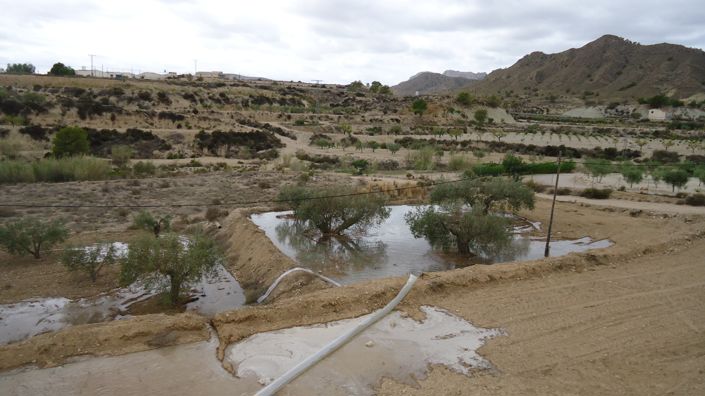 Image No.2-Land for sale