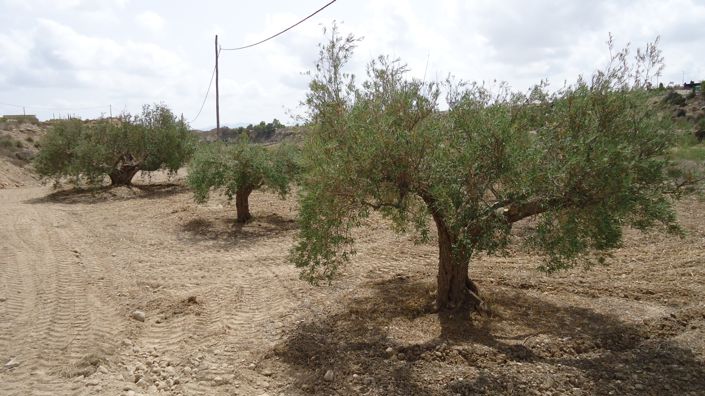 Image No.21-Land for sale