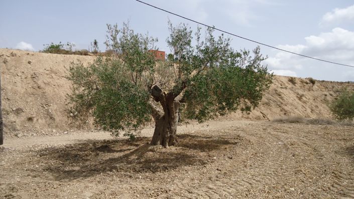 Image No.3-Land for sale