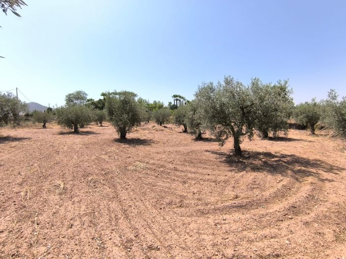 Image No.10-5 Bed Villa for sale