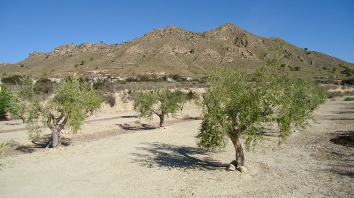 Image No.1-Land for sale