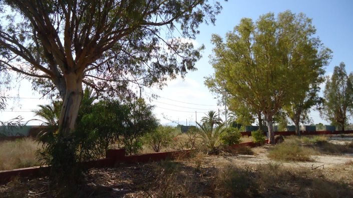 Image No.19-8 Bed Commercial for sale