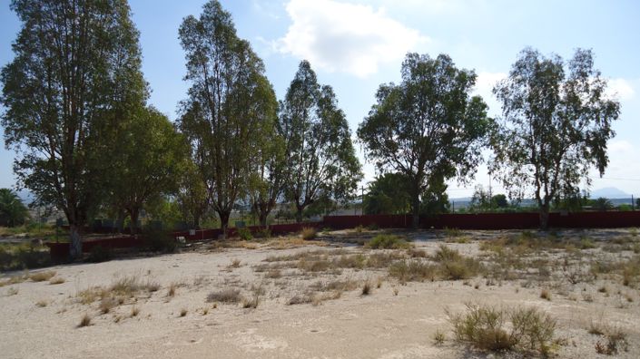 Image No.23-8 Bed Commercial for sale