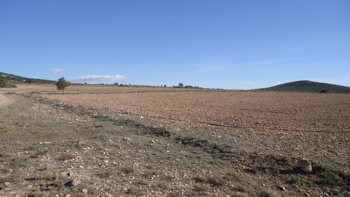 Image No.26-Land for sale