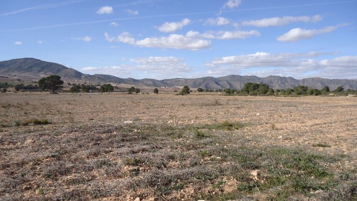 Image No.28-Land for sale