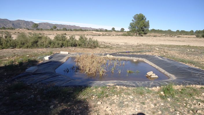 Image No.37-Land for sale