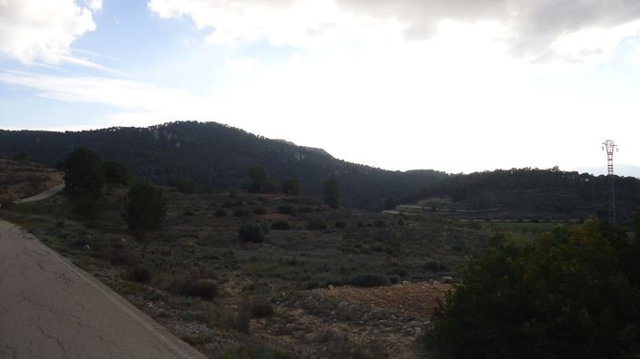 Image No.3-Terre à vendre à Pinoso