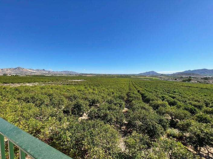 Image No.3-6 Bed Villa for sale