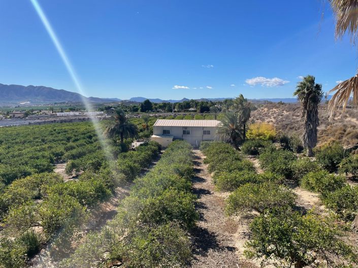 Image No.4-6 Bed Villa for sale