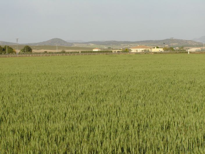 Image No.2-Land for sale