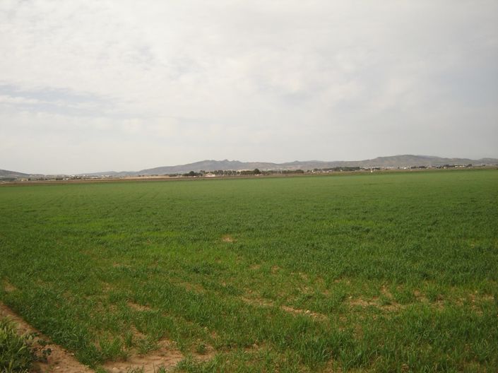 Image No.3-Land for sale