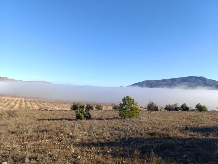 Image No.11-Land for sale