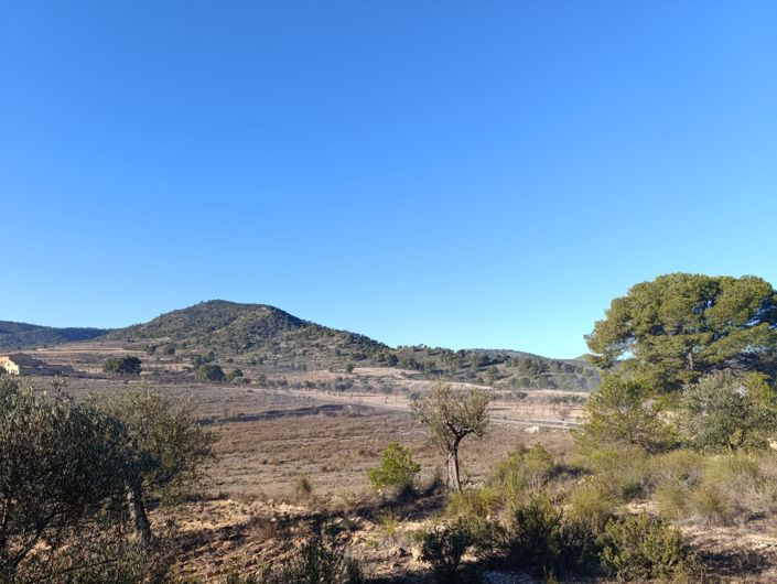 Image No.2-Land for sale