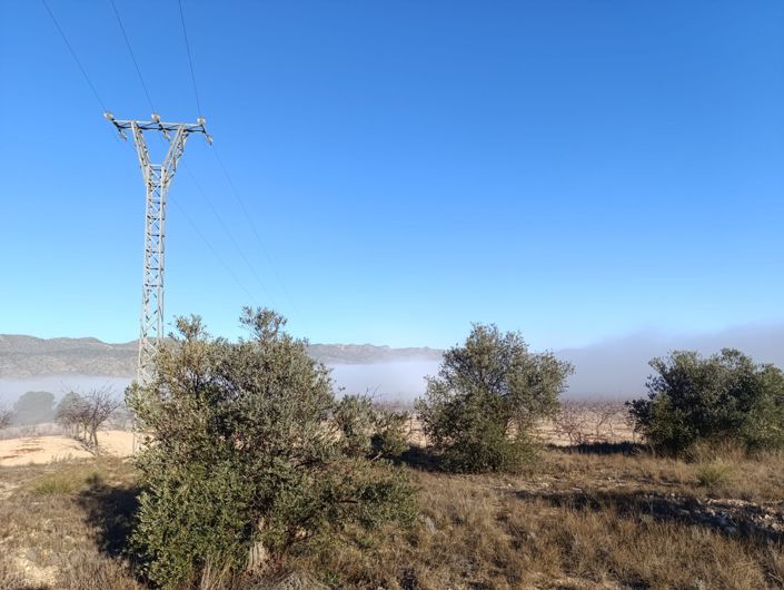 Image No.3-Land for sale