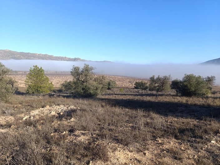 Image No.4-Land for sale