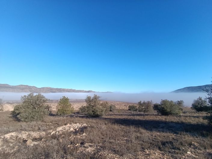 Image No.5-Land for sale