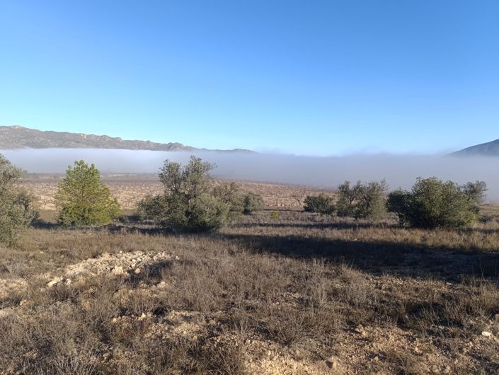 Image No.6-Land for sale