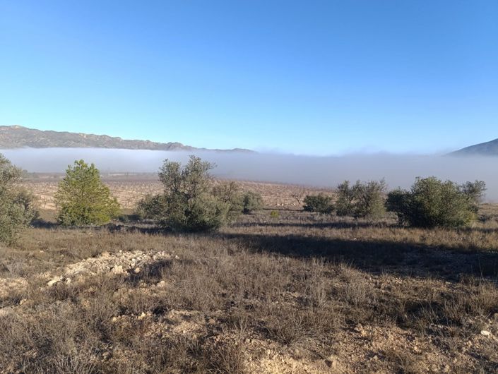 Image No.6-Land for sale