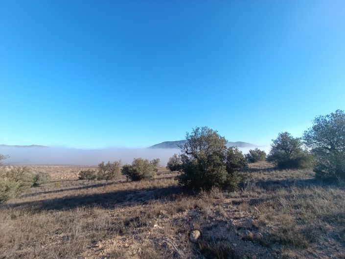 Image No.7-Land for sale