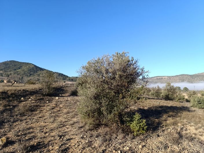 Image No.8-Land for sale