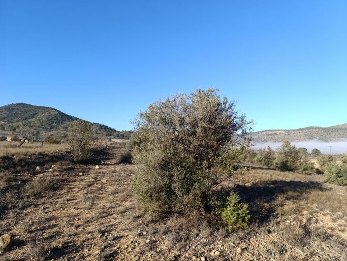 Image No.8-Land for sale