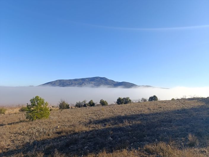 Image No.9-Land for sale