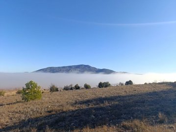 d14c86ce54418d5f